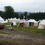 Es füllt sich auf Wiese 2